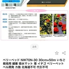 苺用マットの画像