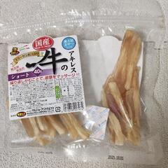 ドッグフード　缶詰　牛肉の角切り　牛アキレス　犬の画像