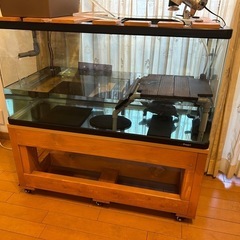 水槽、水槽台、濾過装置台、ライトスタンドのセットの画像