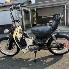 カブカスタムの画像