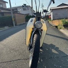 カブカスタムの画像