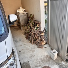 木の幹　薪の画像