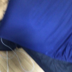 ヨビボウ　モドキの画像