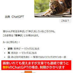 猫の気持ちをAIで診断+おもしろエッセイ本 