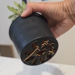Taka様限定商品の画像