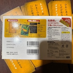 カルタの画像