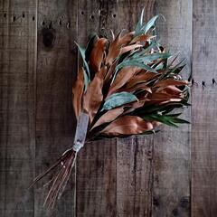 魔女の棲む森 ～jazz & botanical～     dried-botanical swagの画像