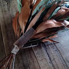 魔女の棲む森 ～jazz & botanical～     dried-botanical swagの画像