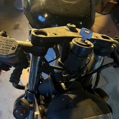 TZR50 書類あり　ベースに！の画像
