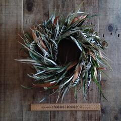 魔女の棲む森 ～jazz & botanical～     dried-botanical wreathの画像