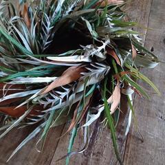 魔女の棲む森 ～jazz & botanical～     dried-botanical wreathの画像
