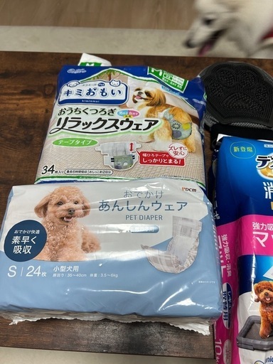 わんこグッズ