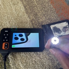 内視鏡カメラの画像