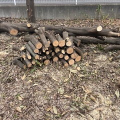 無料 薪材　玉切り　広葉樹　あげますの画像