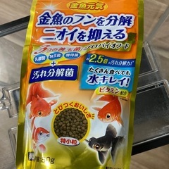 水槽の画像