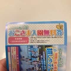 蓮沼ウォーターガーデン、千葉こどもの国キッズダム　子供無料券の画像