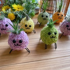 モスペット   夏休みの工作にもの画像