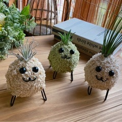 モスペット   夏休みの工作にもの画像