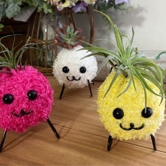 モスペット   夏休みの工作にもの画像