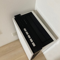 Panasonic：次亜塩素酸 空間除菌脱臭機 の画像