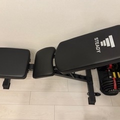 STEADY トレーニングベンチ【耐荷重300or330kg/背面×座面の角度調整/折畳み可/独自構造の腰保護パッド】ベンチ 腹筋 背筋 インクラインベンチ 筋トレ 足固定 ダンベル ベンチプレス ローマンチェア ST123/ST140 アドバンスモデル スタンダードモデルの画像