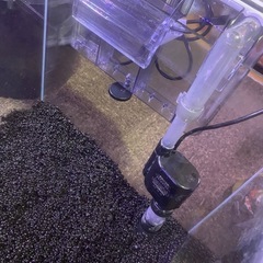 GEX　300キューブ水槽の画像