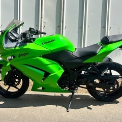 【動画あり】ニンジャ250R 鮮やかなグリーンカラー　バッテリー新品！の画像