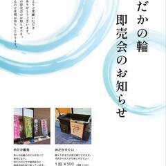 めだかイベント メダカイベント めだか販売会 メダカ販売会 めだ...