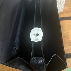 オーストリッチ　ハンドバッグ　武知①の画像
