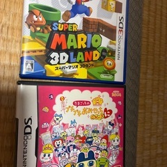 DSケース、説明書のみの画像