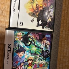 DSケース、説明書のみの画像