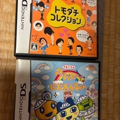 DSケース、説明書のみの画像