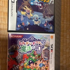DSケース、説明書のみの画像