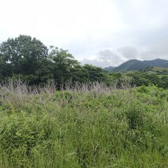 ポツンと環境の景色が美しい山林296坪 プライベートキャンプ場 ...