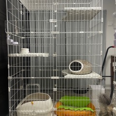 猫 ゲージ の画像