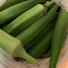 オクラ⭐︎の画像