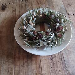 魔女の棲む森 ～木の実と詩～     dried-botanical wreathの画像