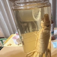 高麗人参酒の画像