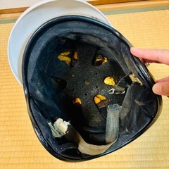 Arai ヘルメット S-80の画像