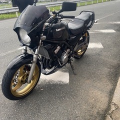 Kawasaki バリオス2の画像