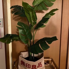 IKEA フェイクグリーンの画像
