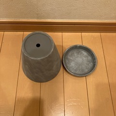 鉢　観葉植物　植物　植木鉢の画像
