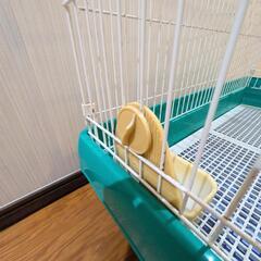 キャスター付ゲージの画像