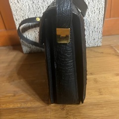 オーストリッチ　ショルダーバッグ　武知②の画像