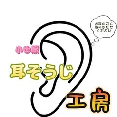 耳かき大好きな方必見❣️イヤーセラピスト募集の画像