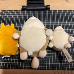 柴犬とみきゃん の画像