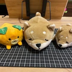 柴犬とみきゃん の画像