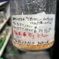 オオクワガタ能勢YGの画像