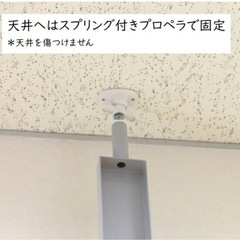 ステラNEXT シューズラックスリム 省スペース 突っ張りラックスニーカー狭い玄関シューズ 11足 11段1 8幅 靴収納 靴箱 下駄箱 靴入れ 新生活 シューズ フックシューズ収納 ディスプレイ 玄関 収納 シ ューズ棚突っ張りシューズラックの画像