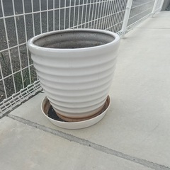 あげます
の画像